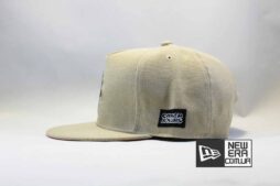 графилд бейсболка кепка snapback garfield swag Cayler and Sons серая купить
