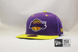 кепка snapback los angeles Lakers New Era классическая купить