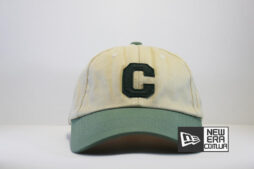 американская кепка беейсболка carhartt C-CAP зеленая купить Украина