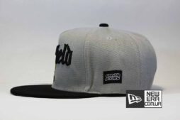 Украина магазин одежды кепка snapback Garfield Cayler and Sons gangster гарфилд купить